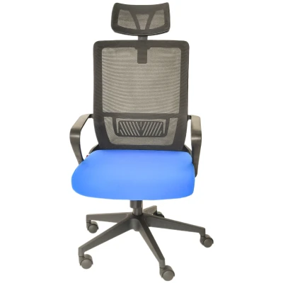 95660002-azul-web00-1-1716253933.webp